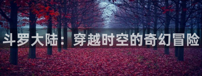 omofun动漫：斗罗大陆：穿越时空的奇幻冒险