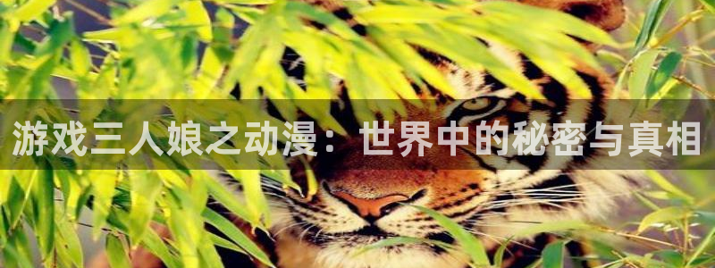 omofun动漫软件下载免费版：游戏三人娘之动漫：世界中的秘密与真相